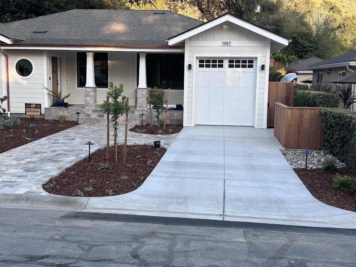 A finished concrete driveway and walkway at a single-storey house, edged against fresh planting and bark beds.